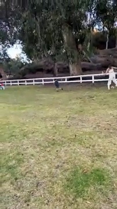 Kid tackles woman playing soccer