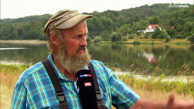 В Польше и Германии пытаются выяснить причину массовой гибели рыбы