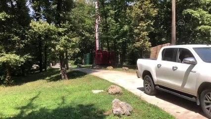 Denizde mahsur kalan karacanın yardımına cankurtaranlar yetişti (2)