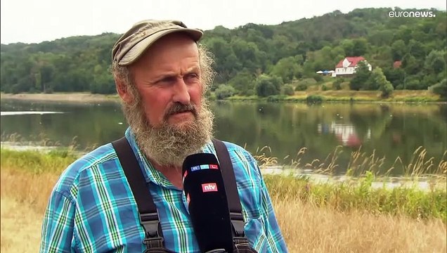 Des milliers de poissons morts sur l'Oder, des tests en cours en Allemagne et en Pologne