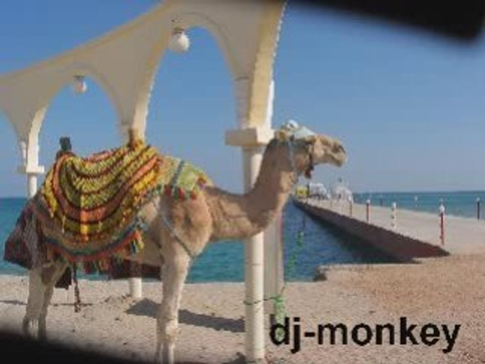 $$$$$$   funk 80's  $$$$$$$