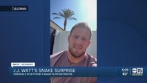 Arizona Cardinals star J.J. Watt finds rattlesnake in his bathroom