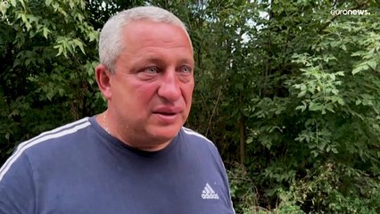 Agricultores y trabajadores del campo ucranianos salen a cosechar pese a la amenaza de las bombas