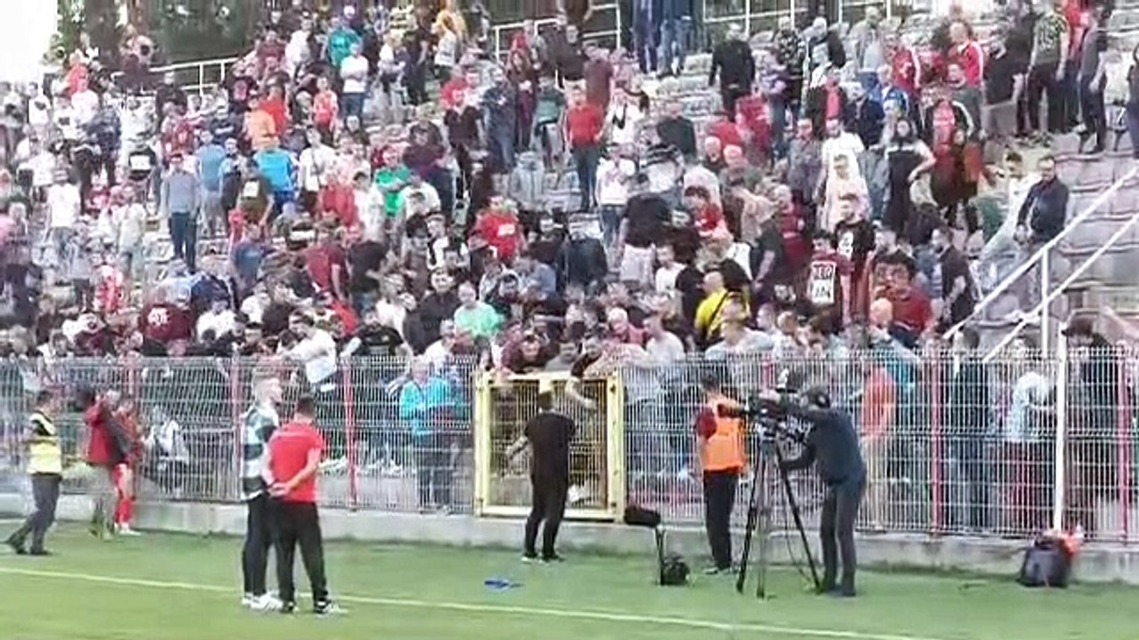 Feđa Dudić