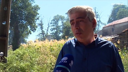 L'Europa brucia. Molti incendi sono dolosi