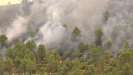 Más de 2.300 personas evacuadas por los incendios de Zaragoza y Alicante