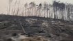 العربية 360 | الحر والجفاف يشعلان الحرائق مجددا في إيطاليا وإسبانيا وفرنسا