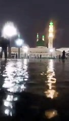 下载视频: شاهد.. هطول أمطار غزيرة على الحرم النبوي بـ المدينة_المنورة - عبر - @Yusuf_artist_