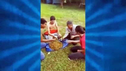 Só bosta na cara kkk