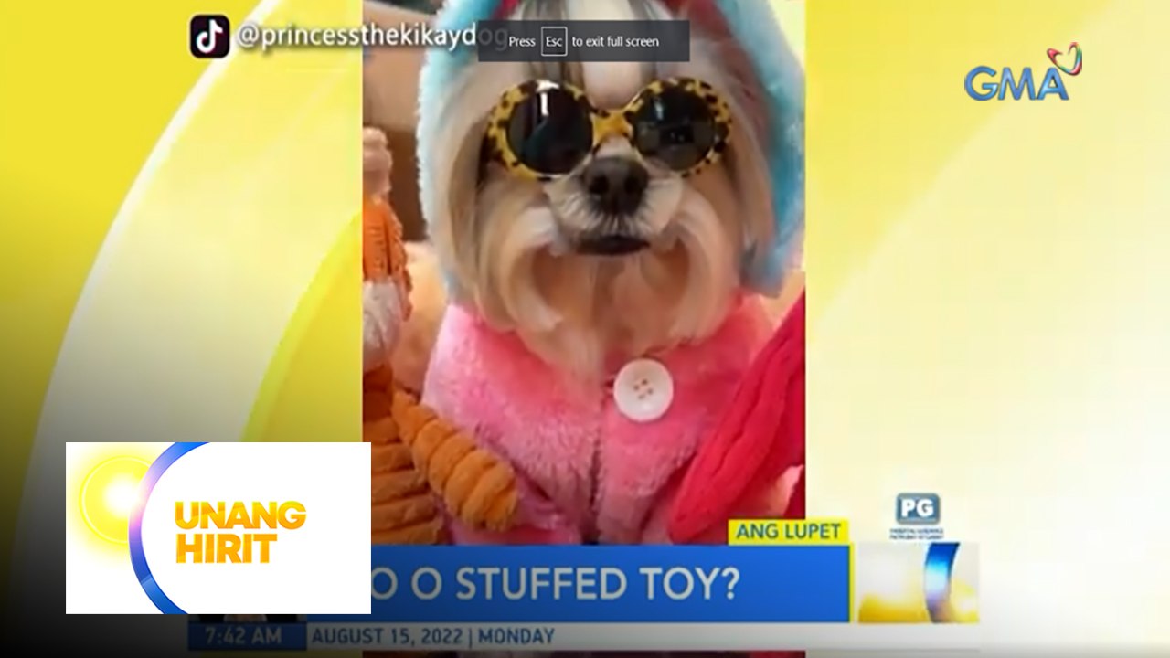 Ang lupet! Aso o stuffed toy? Alamin kasama ang UH Barkada! | Unang Hirit