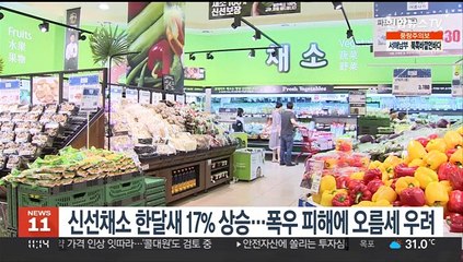 신선채소 한달새 17% 상승…폭우 피해에 오름세 우려