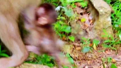 1=THIS IS HEARTBREAKING...CAN'T BELIEVE LIBBY come to a stop Rainbow cry