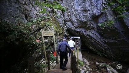 Binlerce yarasayı barındıran Dupnisa Mağarası turistlerin ilgi odağı oldu
