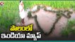 Farmer Draws India Map in Agriculture Field _ Siddipet _ V6 News