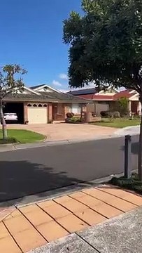 A rogue deer trots down a Dapto street