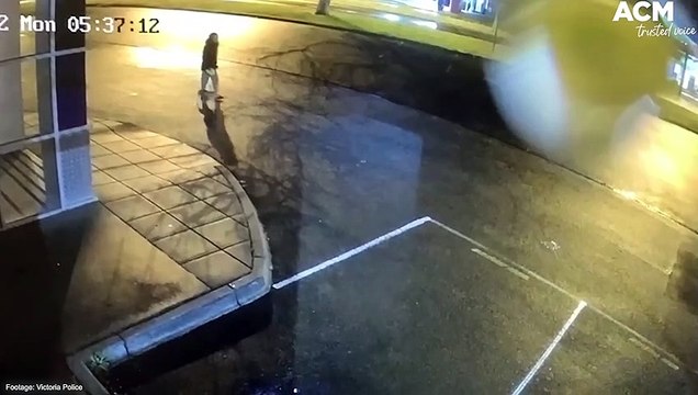 CCTV emerges of dog owner feared to be swept away in floodwaters | August 15, 2022 | ACM