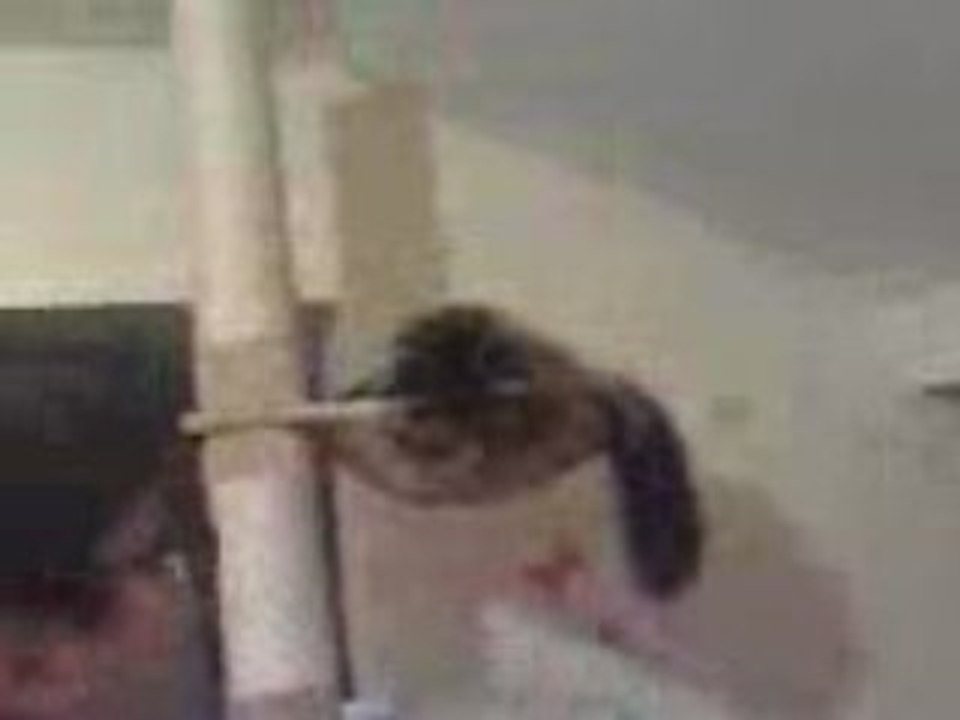 13032008015