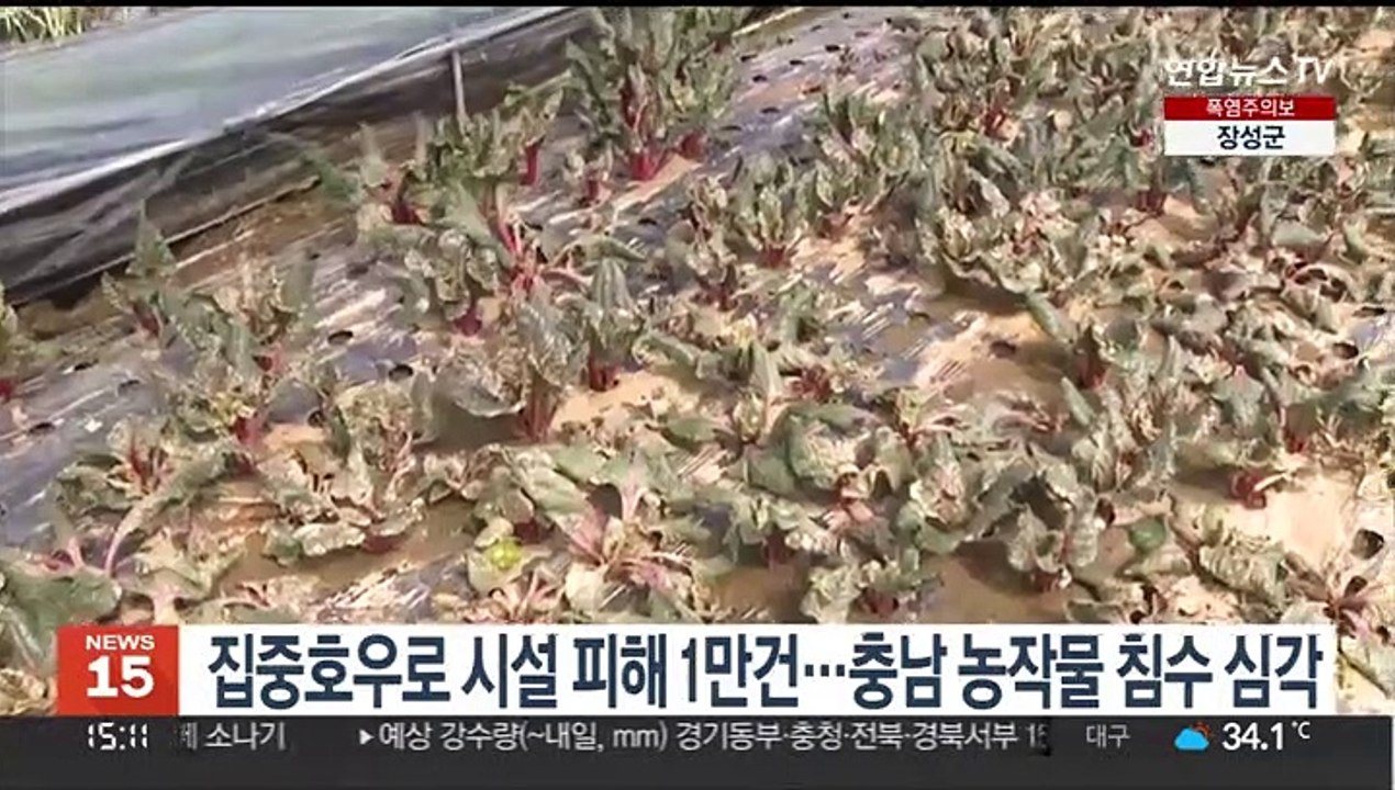집중호우로 시설 피해 1만건…충남 농작물 침수 심각