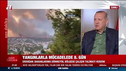 Erdoğan: Yerleşim bölgelerindeki yangın, büyükşehir belediyelerinin sorumluluğundadır