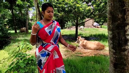 গ্রামের ডোবা থেকে দেশী শিঙি মাগুর মাছ ধরলাম ছিপ বড়শি দিয়ে । Hook fishing