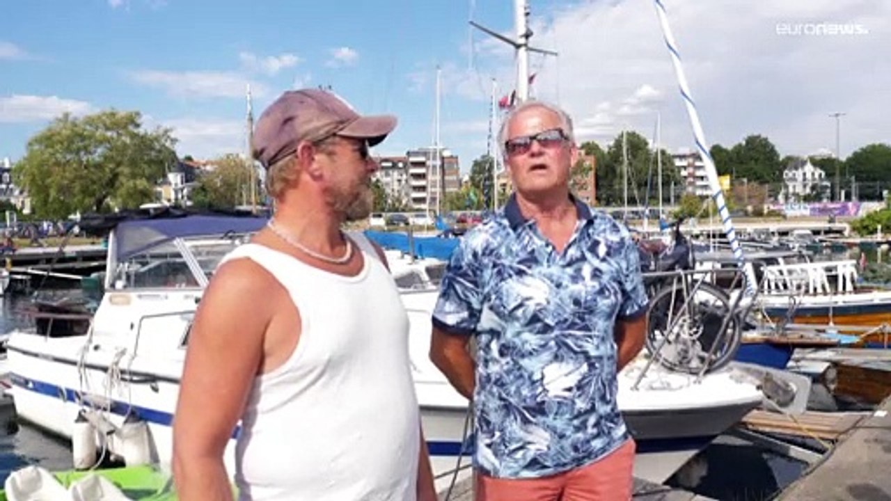 Nach Einschläferung von Walross Freya: Einwohner von Oslo reagieren verärgert