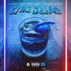 Sí Me Deja - [Audio Versión Oficial] - Alvin Junior