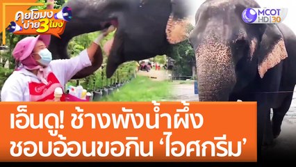 เอ็นดู! ช้างพังน้ำผึ้ง ชอบอ้อนขอกิน ‘ไอศกรีม’ | คุยโขมงบ่าย 3 โมง