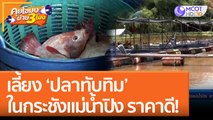 เลี้ยง ‘ปลาทับทิม’ ในกระชังแม่น้ำปิง ราคาดี! | คุยโขมงบ่าย 3 โมง