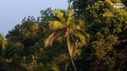 This secret surf spot 15,000km from Paris is hosting part of the 2024 Olympic Games