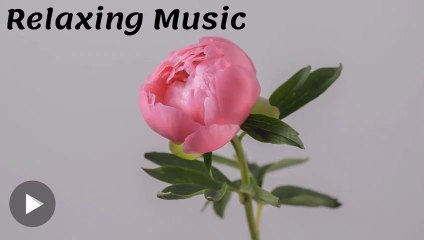 Relaxing Music for Studying, Sleep or Relaxation