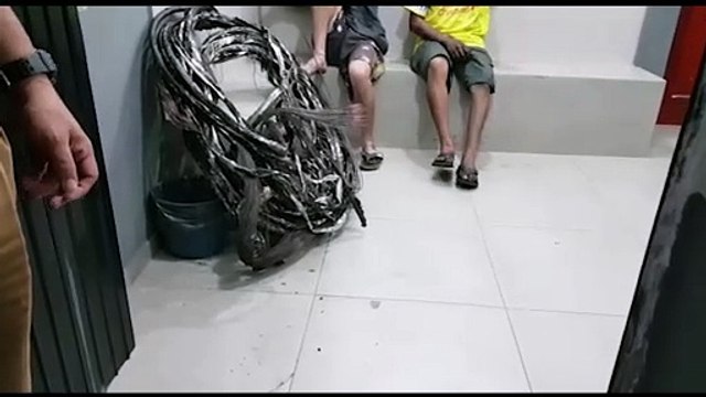 Dupla é detida acusada de furtar cabos de energia, no Cascavel Velho