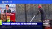 Dans les Pyrénées-Orientales, un incendie a déjà brûlé 105 hectares