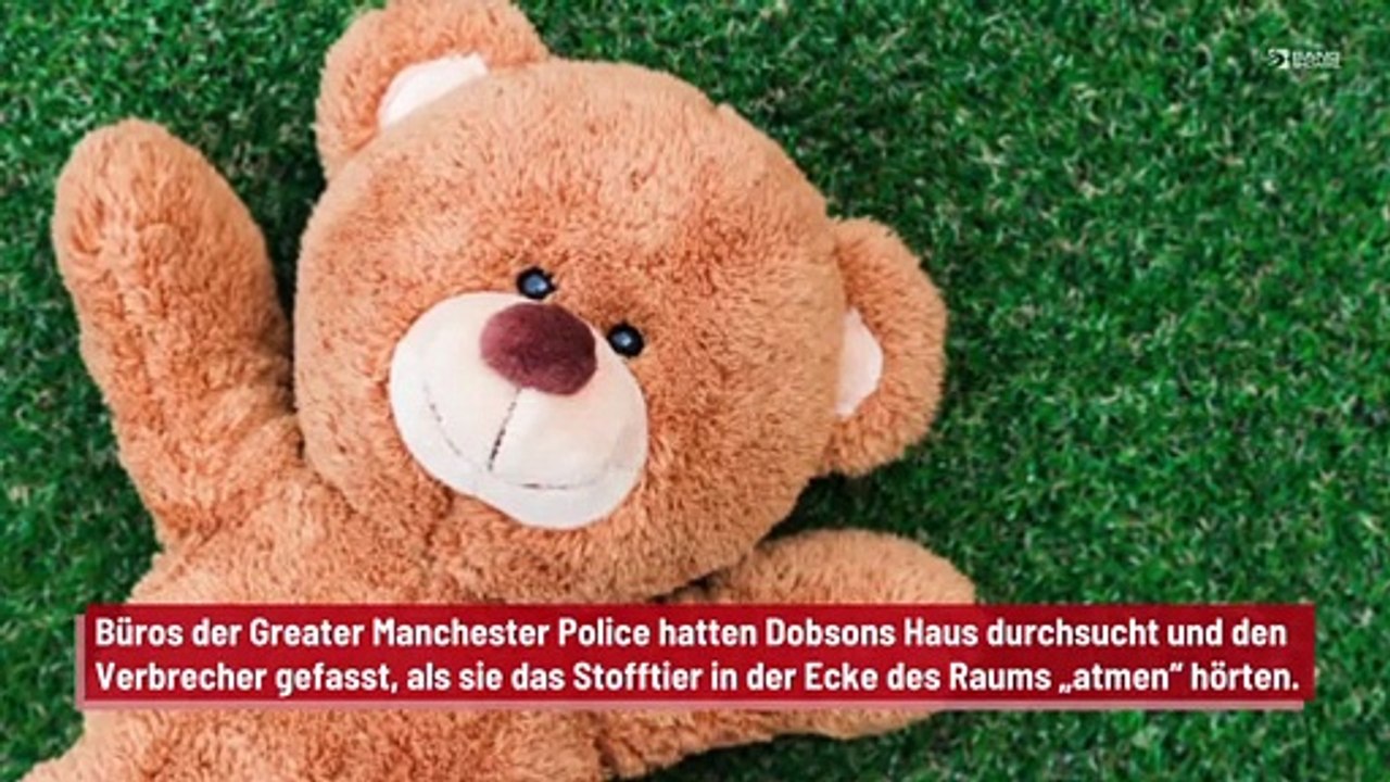 Dieb von der Polizei gefasst, nachdem er sich in einem riesigen Teddybär versteckte