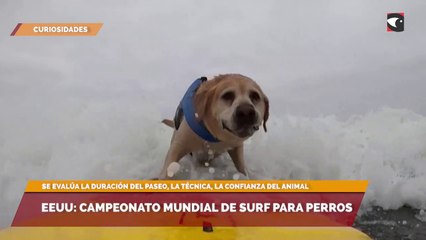 EEUU: Campeonato Mundial de Surf para perros