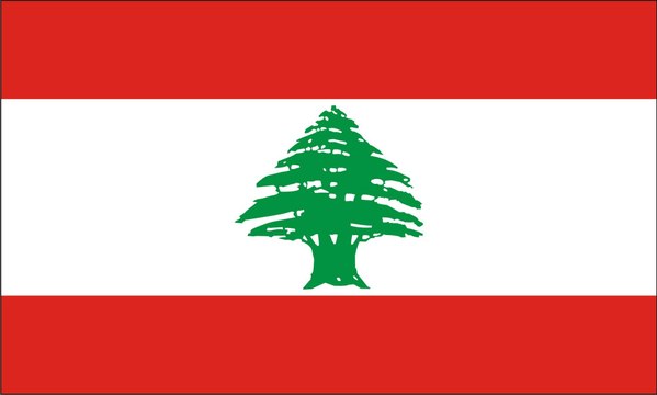 نائبة التيّار ندى بستاني ترقص على أوجاع لبنان