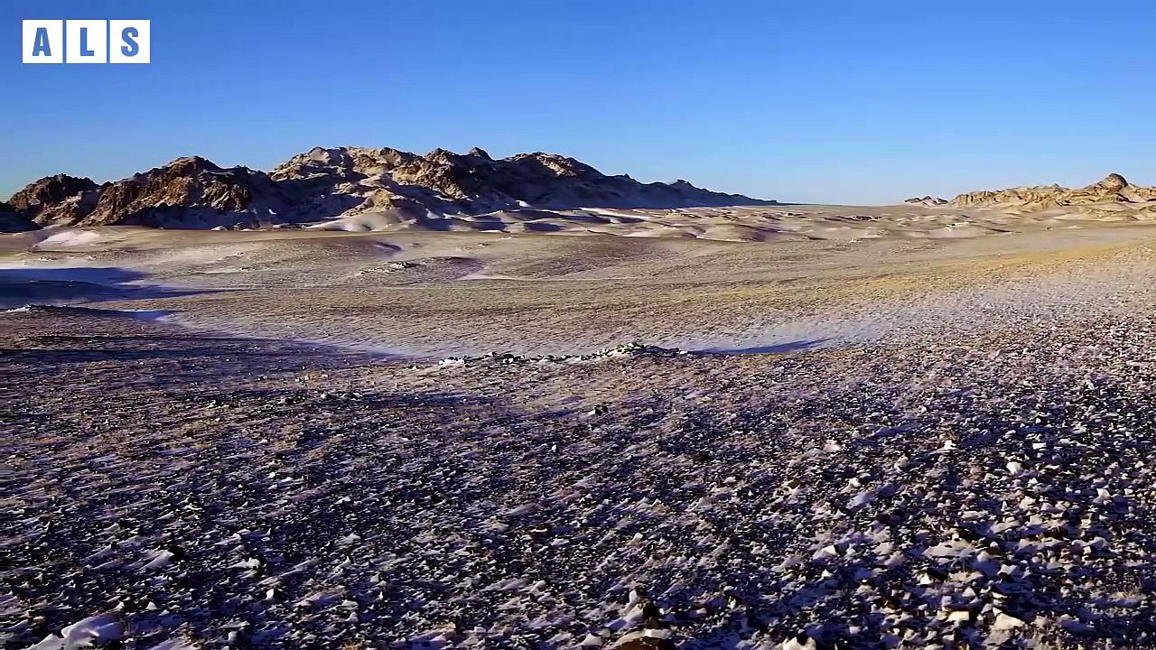 Snow Leopard - Ghosts of Mountains - Animal Documentary   Wildlife Secrets