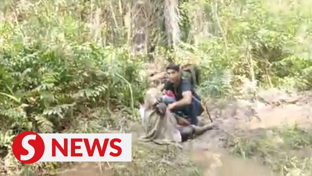 Senior citizen found after missing at oil palm plantation for nearly a week