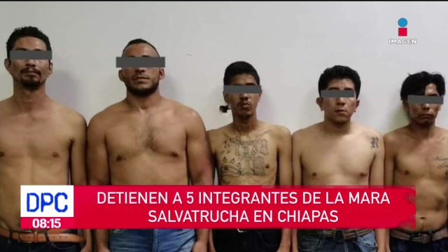 Detienen a 5 integrantes de la Mara Salvatrucha en Chiapas