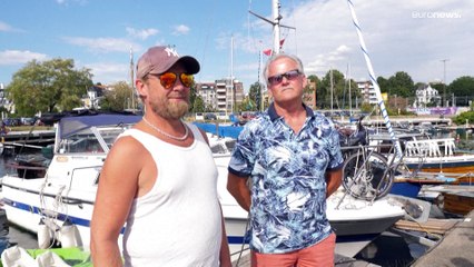 Non tutti credono che il tricheco norvegese andasse ammazzato