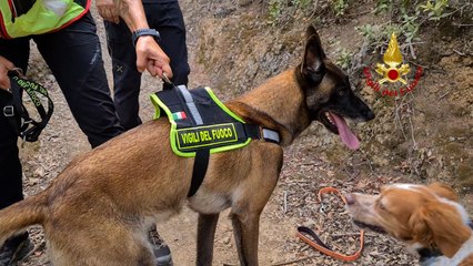 Marina Micalizio scomparsa all'Isola d'Elba, le ricerche della figlia del "superpoliziotto"