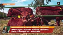 Más de 150 cabezas de bovinos y equinos en el expo rural de la Misiones
