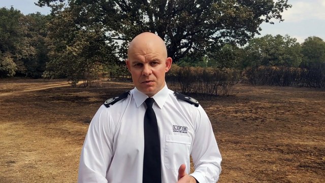 Jonathan Smith, assistant commissioner of London Fire Brigade on London's grass fires