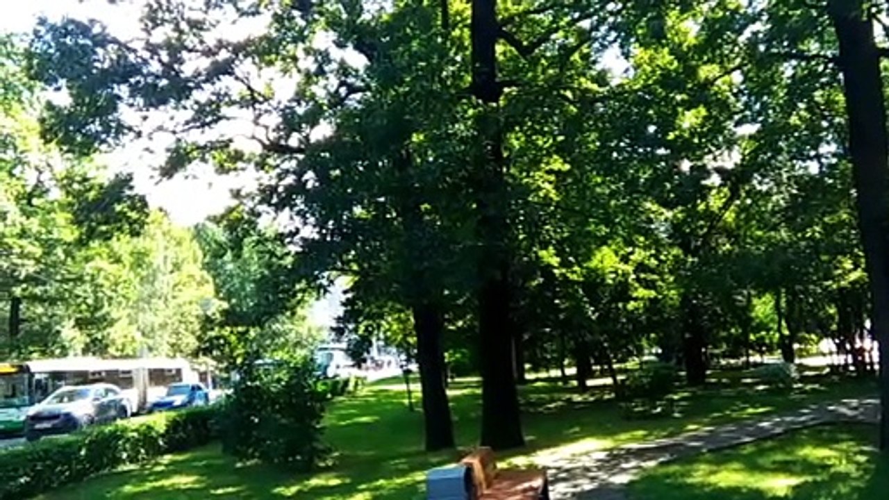 road-video.mp4