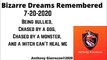 Bizarre Dreams Remembered 7-20-2020 Being bullied Chased by a dog Chased by a monster and a witch can't heal me