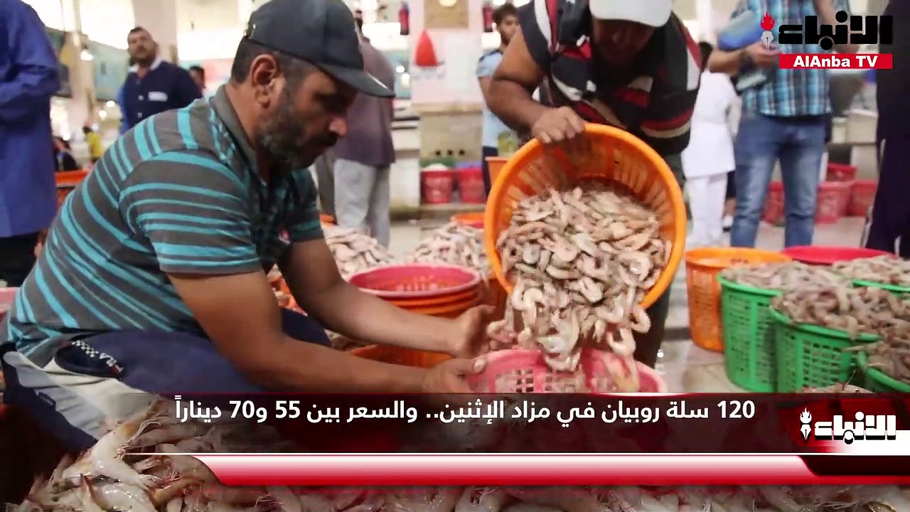 الانتعاش يعود إلى سوق السمك.. والكنعد الكويتي بـ 4 دنانير