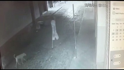 VÍDEO: Meliante arromba farmácia no Centro de Pombal e leva produtos equivalentes a mais de R$ 500,00