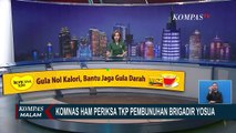 Komas HAM Periksa Lokasi TKP Pembunuhan Brigadir Yoshua di Rumah Dinas Sambo