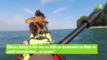 Olivier Dessy et Lorëlei descendent le Rhin en kayak !