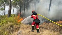 Bomberos combaten gran incendio en el sureste de España avivado por el viento