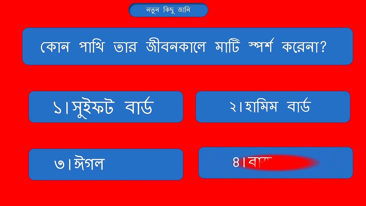করোনা ভাইরাস দেখতে কিসের মত